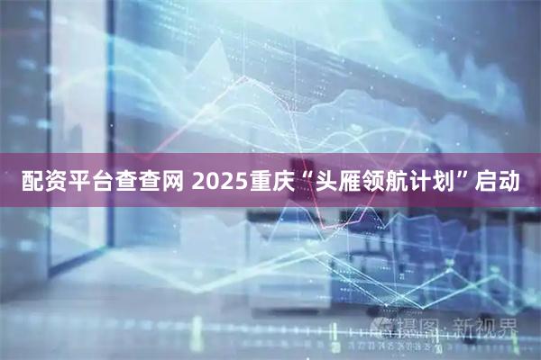 配资平台查查网 2025重庆“头雁领航计划”启动