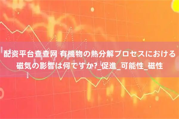 配资平台查查网 有機物の熱分解プロセスにおける磁気の影響は何ですか?_促進_可能性_磁性