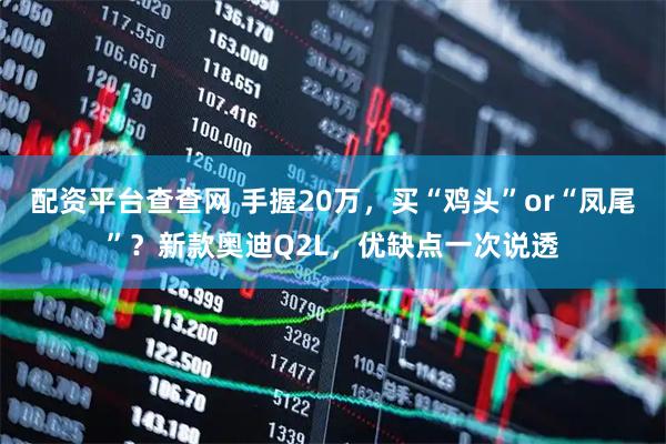 配资平台查查网 手握20万，买“鸡头”or“凤尾”？新款奥迪Q2L，优缺点一次说透