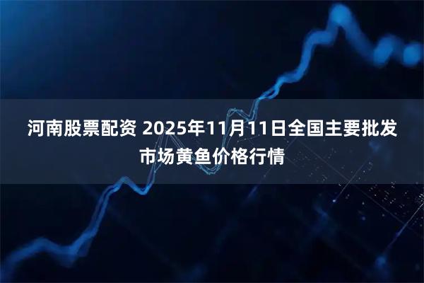 河南股票配资 2025年11月11日全国主要批发市场黄鱼价格行情