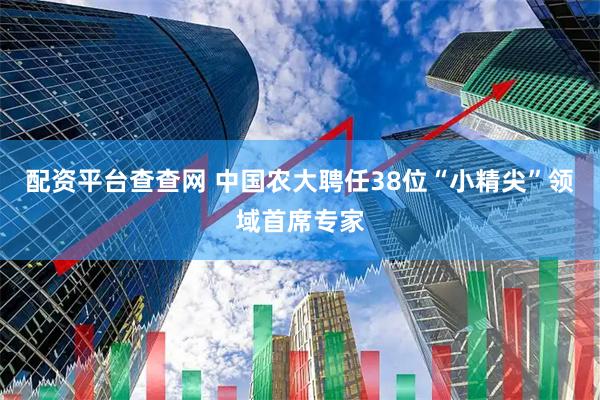 配资平台查查网 中国农大聘任38位“小精尖”领域首席专家