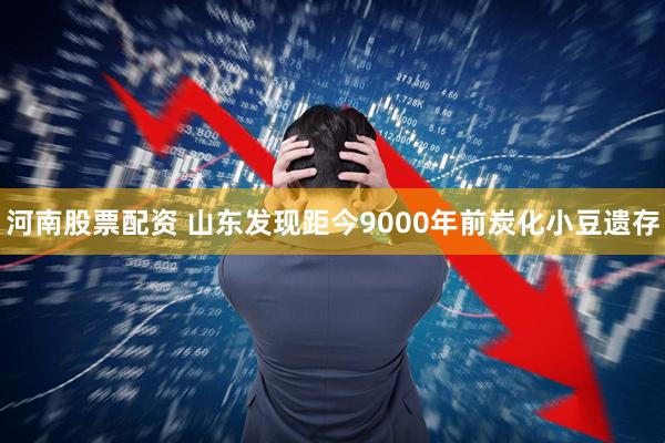 河南股票配资 山东发现距今9000年前炭化小豆遗存