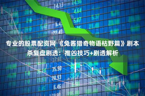 专业的股票配资网 《兔酱猎奇物语枯野篇》剧本杀复盘剧透：推凶技巧+剧透解析